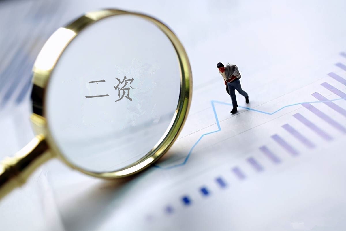 2022年度金年会·[中国]金字招牌,信誉至上
工资总额信息披露
